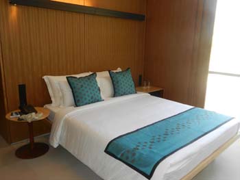 Ranakpur Hotel Mana (8)
